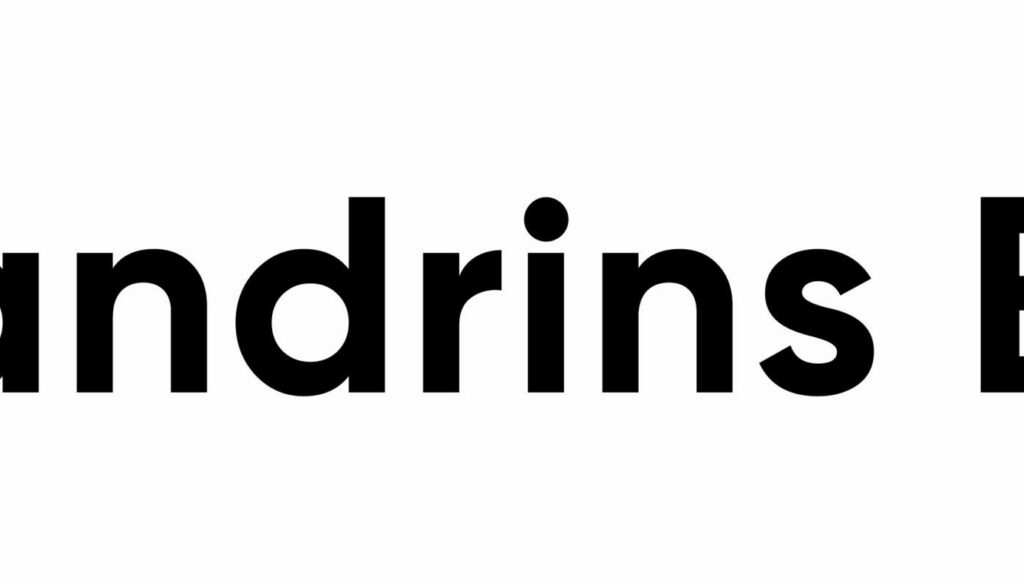 landrins-bil-logotyp-svart-2023-jpg-scaled