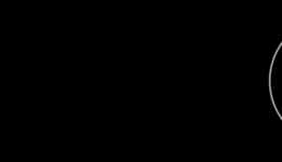 SV_logo_6_RGB