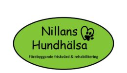 logga-nillans-2