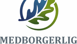 MS_logo_under_trans-1