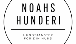 Noahs-Hunderi