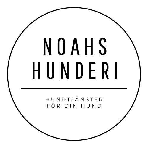 Noahs-Hunderi