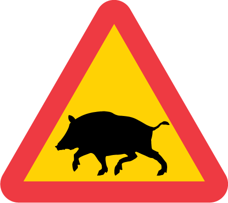 varning-for-vildsvin